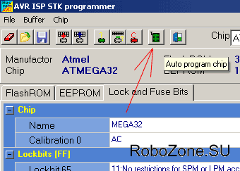 В верхней части меню находится зеленая заветная кнопка 8211; Auto Program Chip